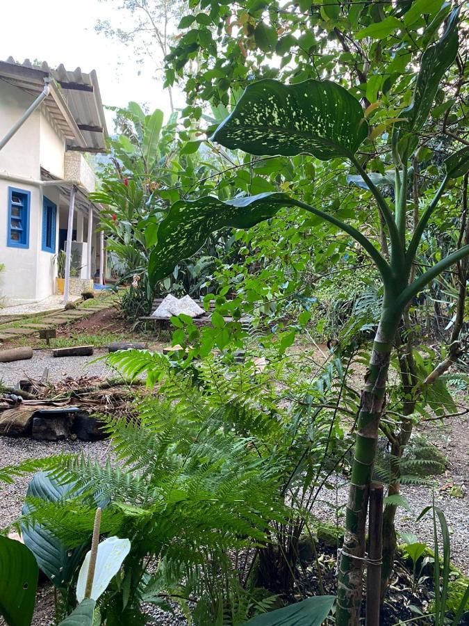 Casa Dos Ventos - Refugio, Sustentabilidade, Conexao Ubatuba Extérieur photo